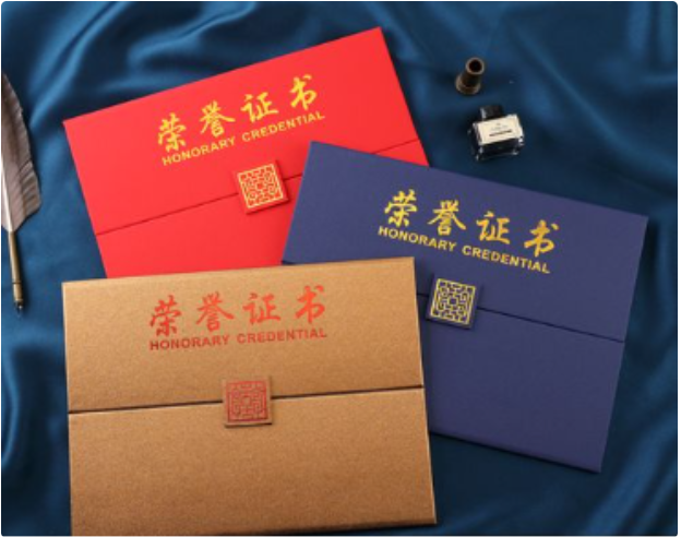 中专文凭案例